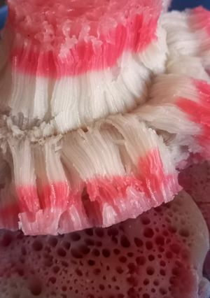 Foto resep Bikang