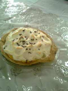A picture of Meat Cheese pie.