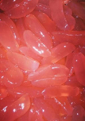Foto resep Manisan kolkal (kolang-kaling)