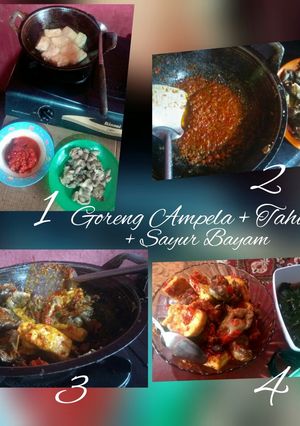 Foto resep Ampela Goreng