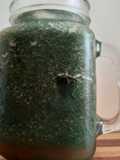 Licuado de sandía, pepino y spirulina ☘️