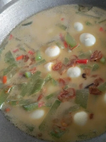 Easy Steps to Prepare Recipes Lodeh labu siam telur puyuh simpel the Delicious So Delicious.