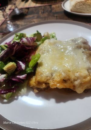 A picture of Lasagna Bolognese.