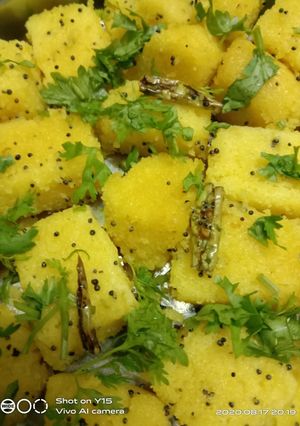વાટેલી દાળના ખમણ (ગુજરાત ના સ્પેશિયલ) (Vateli Dal Na Khaman Recipe In Gujarati) રેસીપી મુખ્ય ફોટો