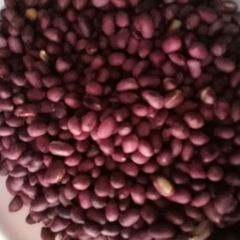 A picture of Fried groundnuts.