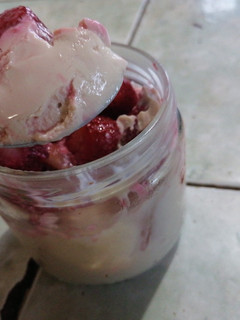 Una foto de Yogur vegano, sin semillas, sin fermentar, sin azúcar