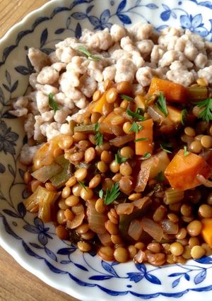 A picture of Vegetarian Lentil Stew.