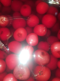 عکسی از دستور 🍒ترشی آلبالو🍒