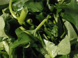 Oseng kangkung tok