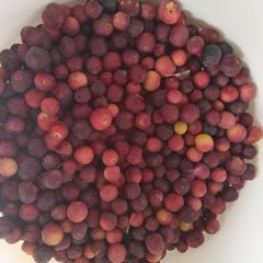 A picture of فالسہ چاٹ.