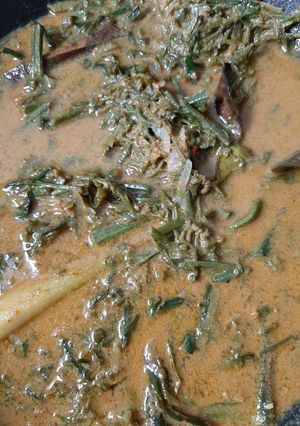 Foto resep Gulai paku/pakis