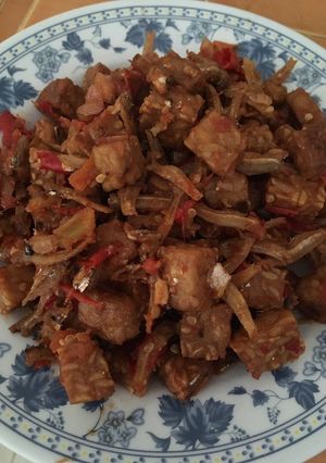 Foto resep Tempe teri balado spesial💜