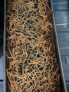 Foto resep Brownis