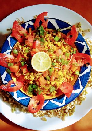 मोड आलेल्या मुंगाची उसळ (mod alelya moongachi usal recipe in marathi) रेसिपी चे मुख्य फोटो 