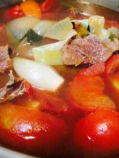 番茄紅燒牛肉 的食譜成品照片