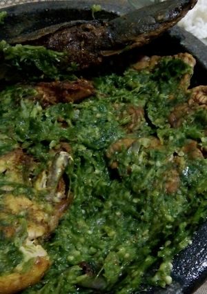 Foto resep Ayam penyet sambel ijo