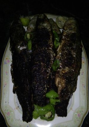 صورة لوصفة سمك بوري مشوي على طريقه المصريه