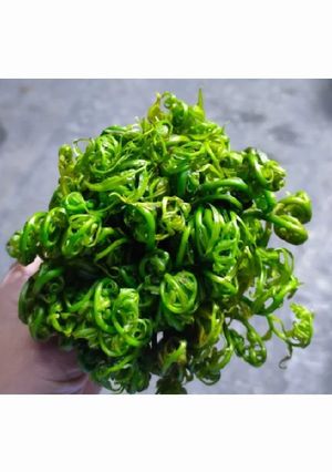 Foto resep Tumis sayur pakis/kelakai