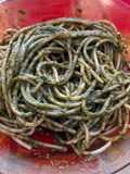 Spaghetti al pesto 🌱