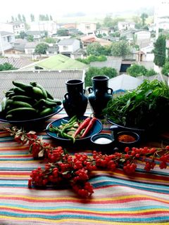 عکسی از دستور خیارشور