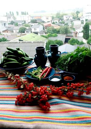 عکسی از دستور خیارشور