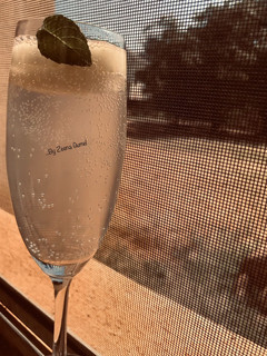 A picture of Mojito Mocktail.