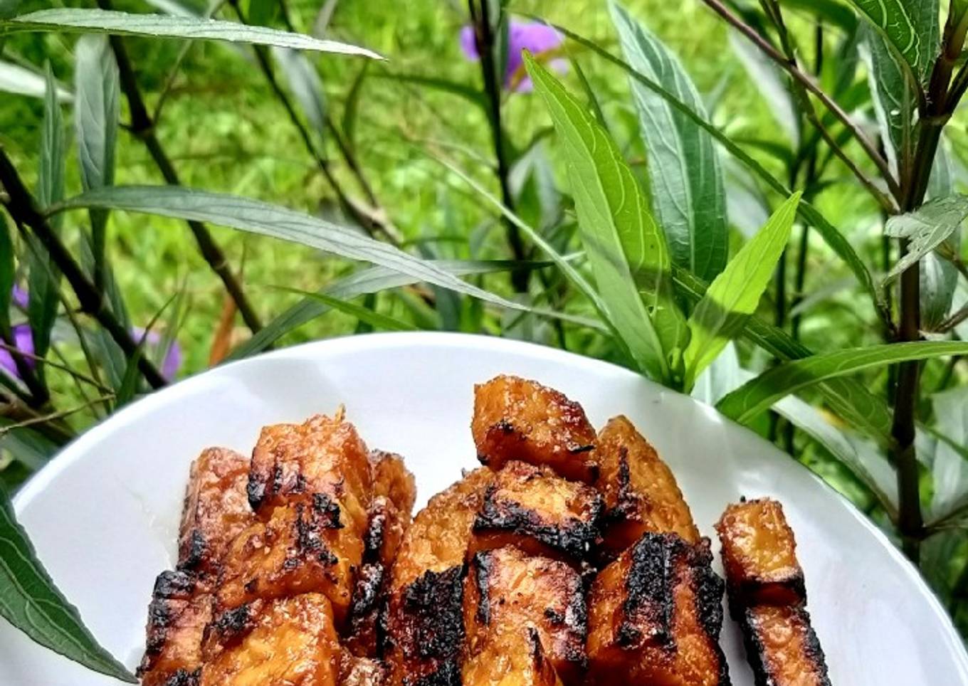 Sate Tempe ala Angkringan