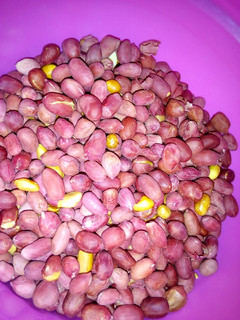 A picture of Oven roasted peanuts #AuthorMarathon.