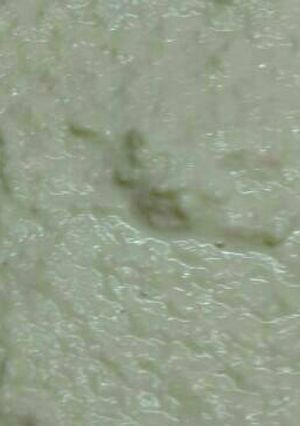 हेल्थी ह्यूमस (Healthy humus recipe in hindi) रेसिपी मुख्य फोटो