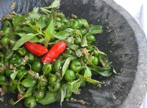 Foto resep Karedok Leunca & Surawung