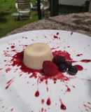 Panna Cotta