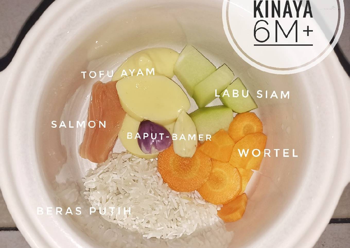 Mpasi 6 Bulan Prohe Salmon