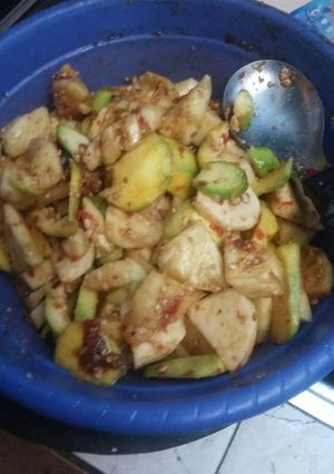 Foto resep R u j a k b u a h s e g a r