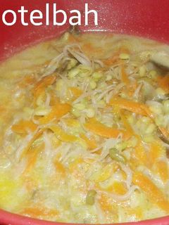 Foto resep Sayur Lodeh Wortel Kecambah