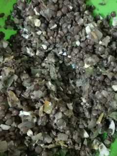 Una foto de Ensalada de Lentejas para picadas