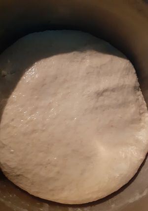 A picture of Wheat dough (Atta).