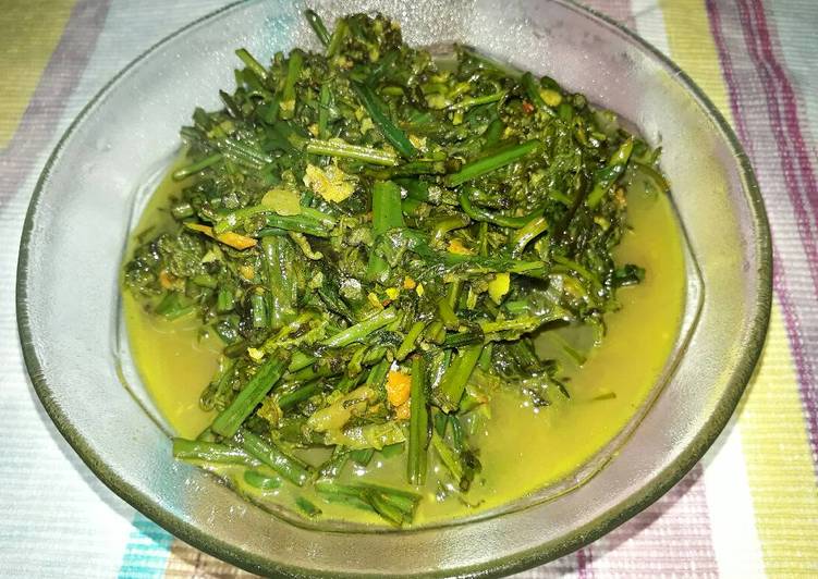 Panduan Mudah Membuat Tumis Daun Paku/Pakis Sempurna Panduan Mudah Membuat Tumis Daun Paku/Pakis Sempurna