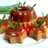 Puding Santan Gula Merah
