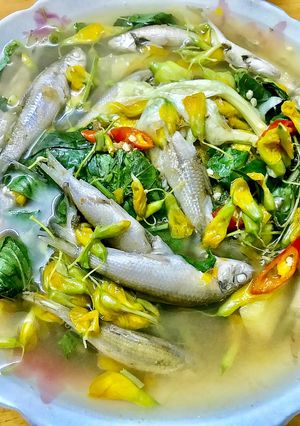 Hình của món Canh chua cá Linh - bông Điên Điển.