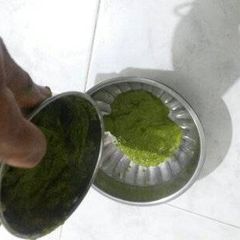 A picture of Mint Chutney.