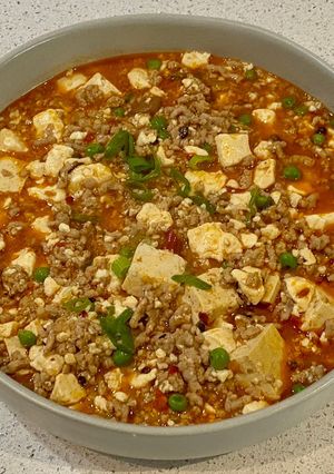 A picture of Mapo tofu.