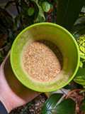 Lao Sweet Laab Chili Powder