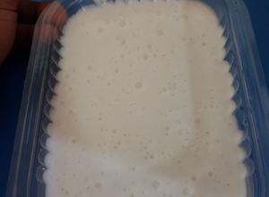 Una foto de Lactonesa en licuadora
