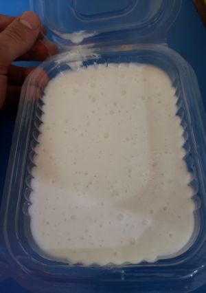 Una foto de Lactonesa en licuadora