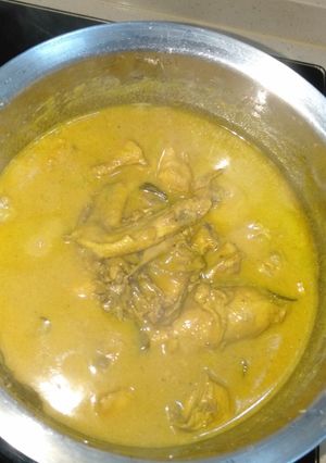 Foto resep Opor ayam kampung