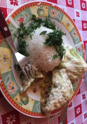 Una foto de Relleno de carne envuelto en repollo con salsa blanca light y arroz