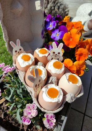 A picture of Trompe l'oeil Egg Custard Dessert.