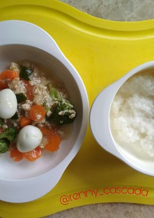 Foto resep Mpasi 9 bulan bubur capcay ayam + telur puyuh