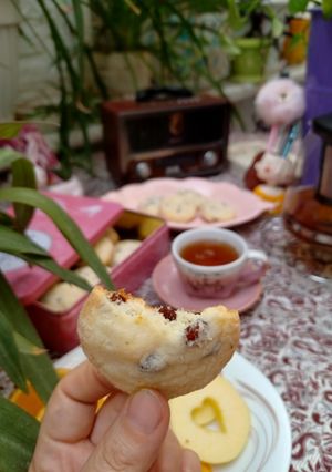 عکسی از دستور شیرینی کشمشی بدون کره