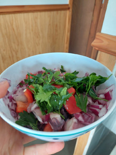 Una foto de Ceviche de pulpo keto